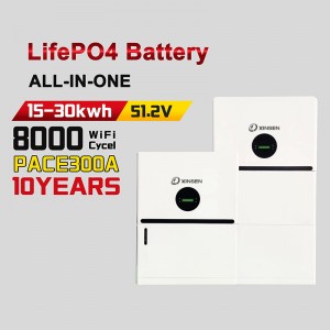 48V Modular Home Battery  5-15kWh  Wall or Floor Mount