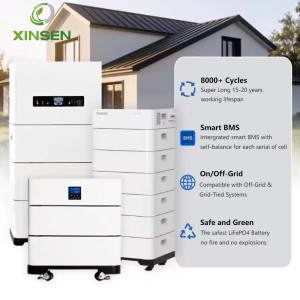 S-Series LV 51.2V Stackable LiFePO4 Battery System 5-50kWh Modular