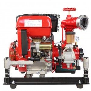 Portable Gasoline Water Pump – YYT52912765